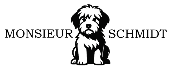 Monsieur Schmidt